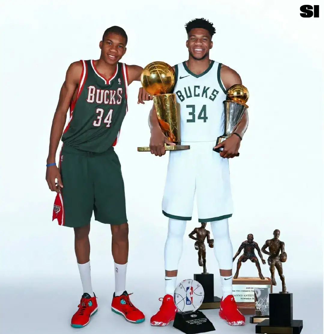 作为范围内 作为范围内